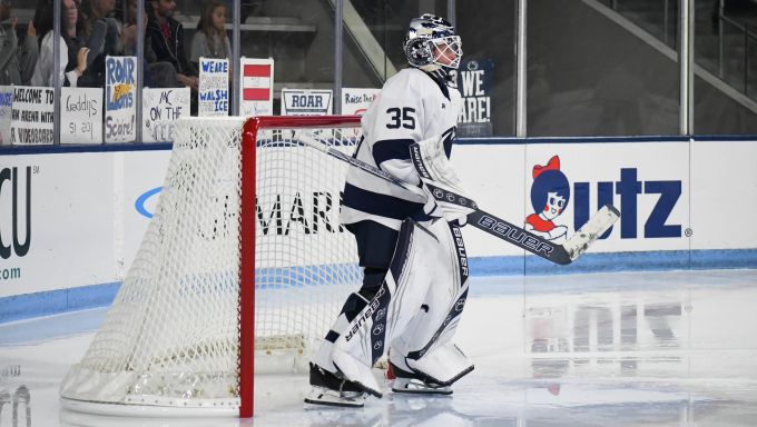 Desa in net
