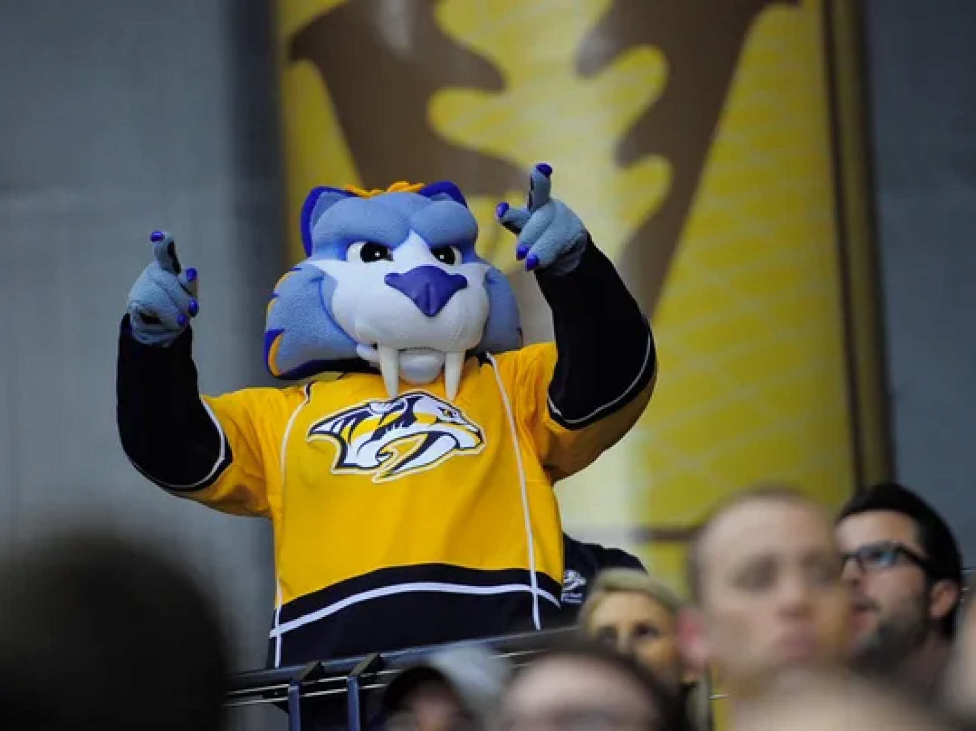 Gnash in the stands