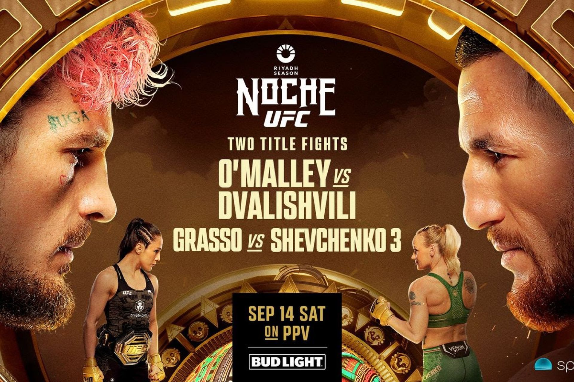 UFC poster