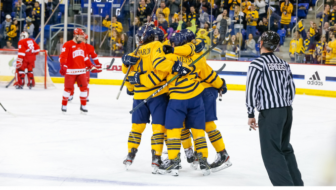 Quinnipiac Men's Hockey team celebrating a goal