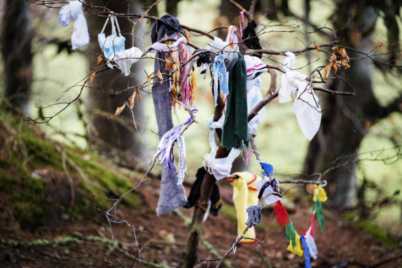 Thin branches are draped with colorful cloth with soft focus trees in the background.