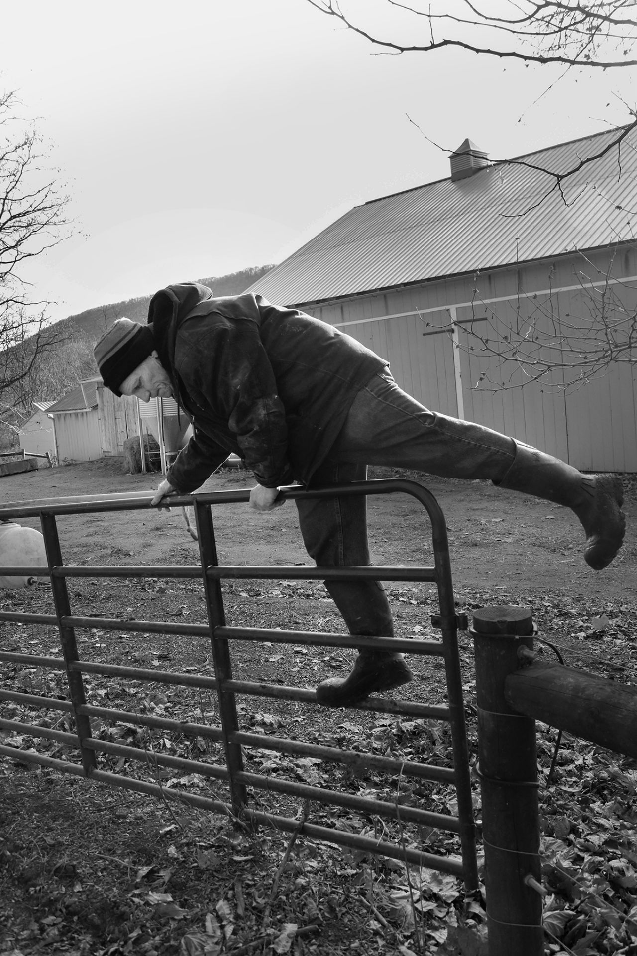 Farmer climbs over a fence gate
