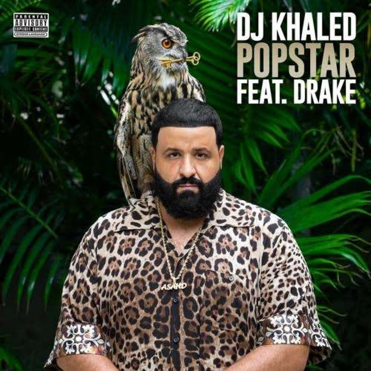 DJ Khaled ft. Drake POPSTAR cover