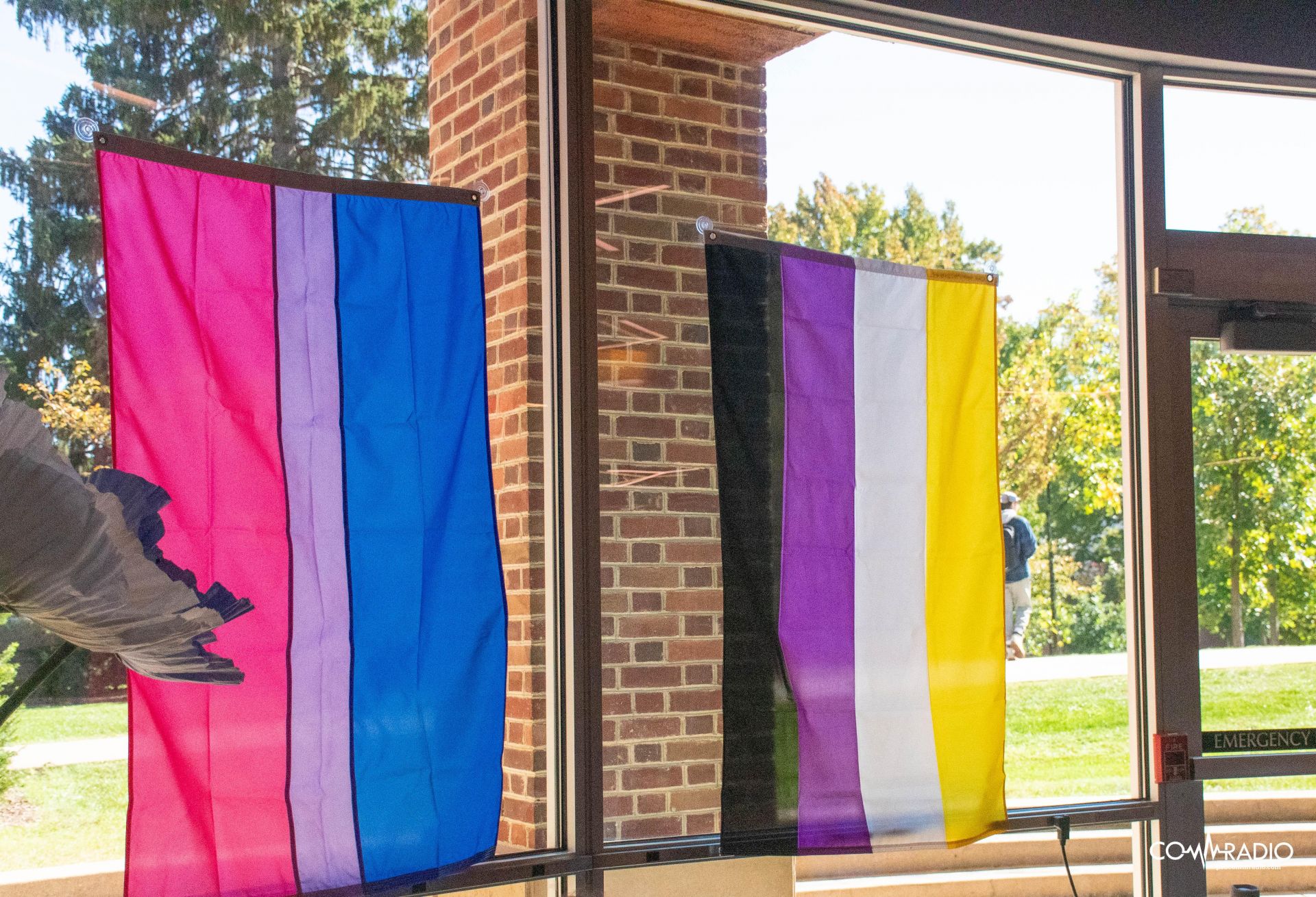 Pride flags hanging on window