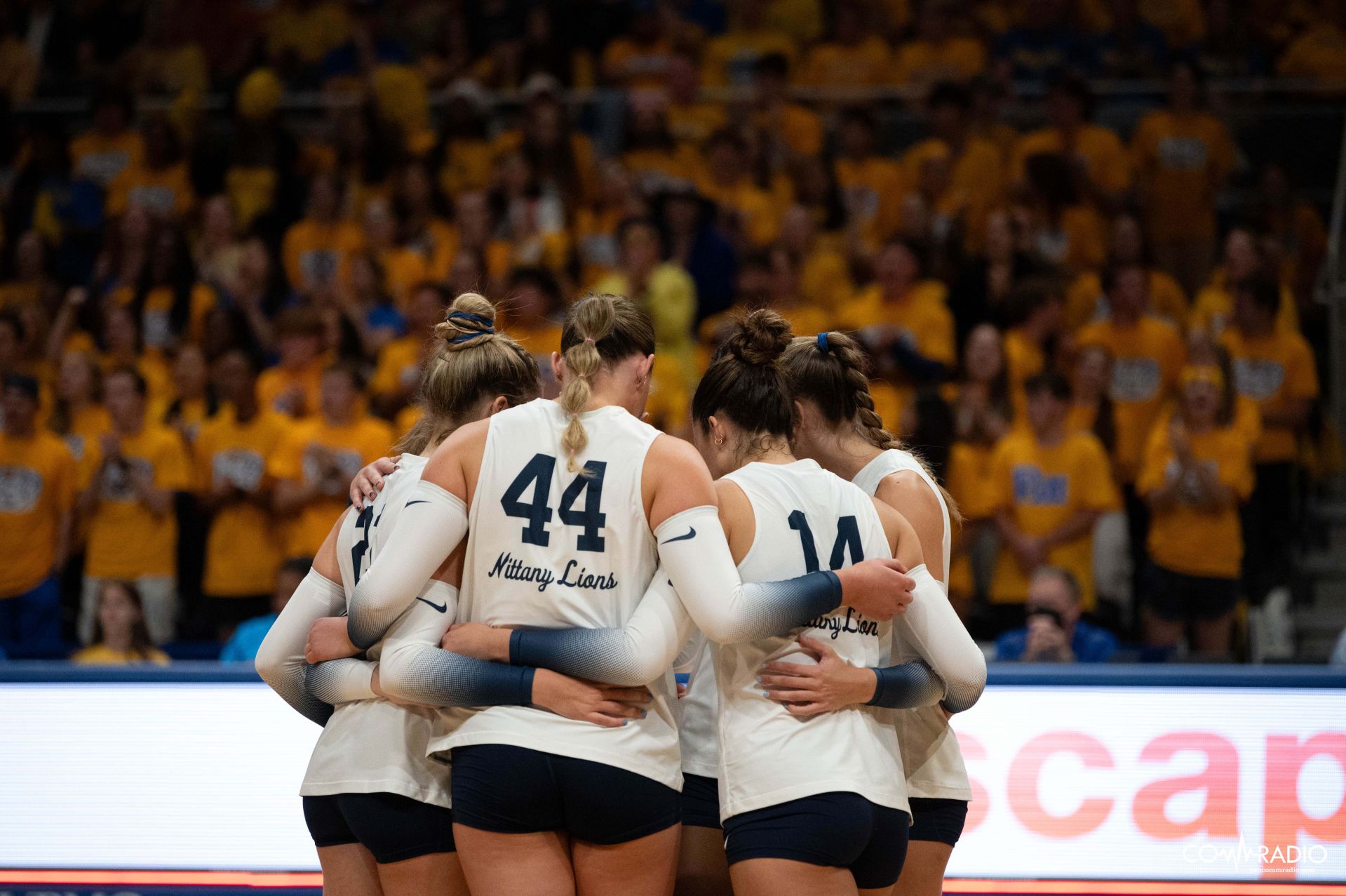 women's volleyball in a huddle