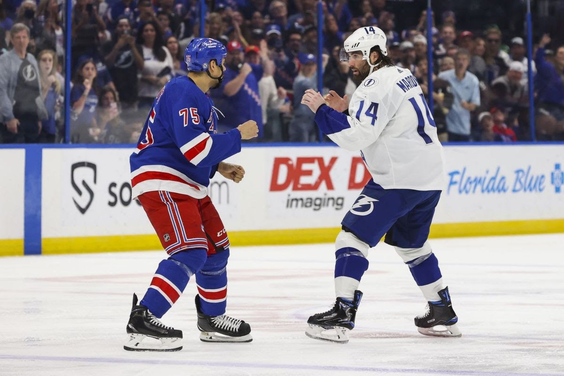 Ryan Reaves fighting Patrick Maroon
