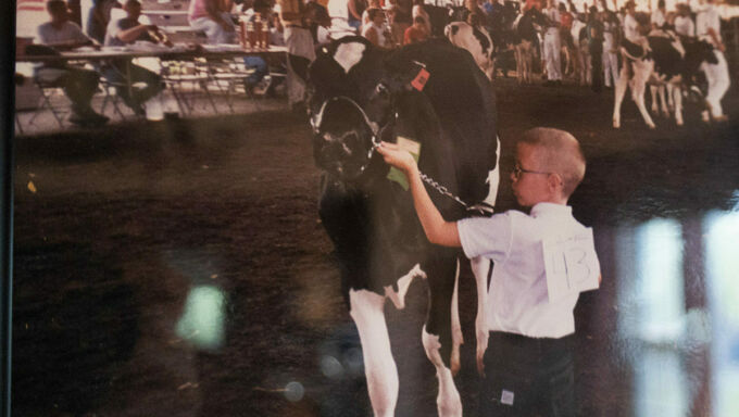 A young boy with glasses wearing a white button down shirt and a number bib with the number thirteen on it shows a black and white cow at a dairy show.