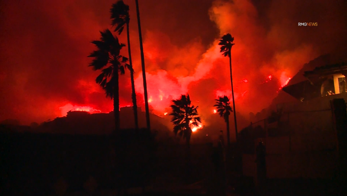 Palm trees in front of red sky