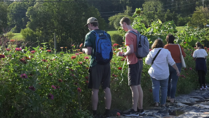 Students picking flowers in a public garden.