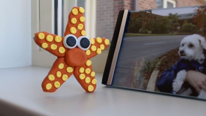 An claymation starfish in bright orange with yellow dots and big googly eyes stands on a windowsill