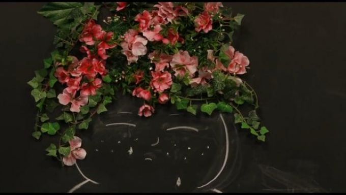 Pink and red flowers with greenery lay on top of a black background