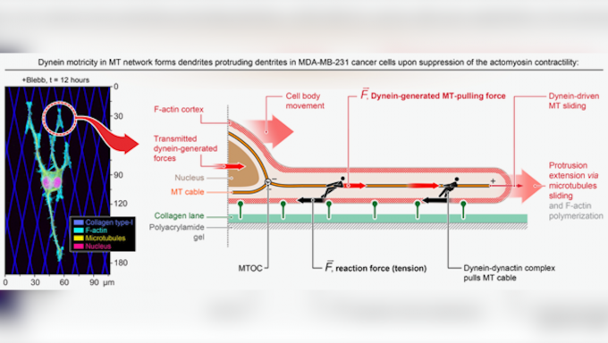 cool diagram